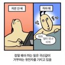 슬기로운 골절 생활 feat. 엄지발가락 골절 후기