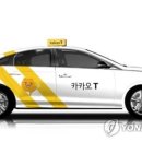 블루카카오 이미지
