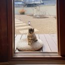지지마루민박 | 260412-14 아기랑 안동여행(1)