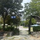 호수목장 | 의왕 백운호수 맛집 선일목장 후기 고기먹고 식물원카페도 가고 일석이조🩵