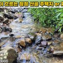 [단양토지 2,169㎡ // 5천만원] 맑은 개울이 흐르는, 청정 주거환경 속 전원주택지 or 체류형쉼터! 기반시설 접... 이미지