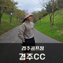 첼린저 | 경주골프장 경주cc 이글 기념 주말 라운드 후기(챌린저골프웨어)