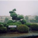 장흥용산중학교 네이버블로그