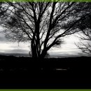 당진힐링펜션 이미지