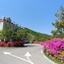 다덕파크 이미지