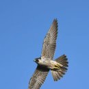 유유자적 이미지