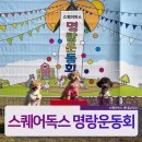 스퀘어독스 롯데남악점 이미지