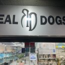 리얼독스 강아지분양 일산본점 이미지