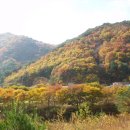 법흥2리마을회관 이미지