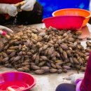 진동고현 이미지