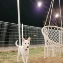 낄낄아놀자 이미지