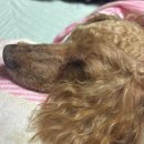 대덕대로335번길 | 소확행