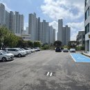 유폴 애견셀프목욕, 애견미용, 애견용품 직영점 이미지