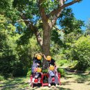 시립남부아동청소년센터 이미지