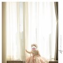 울산 돌스냅 - 훈갤러리