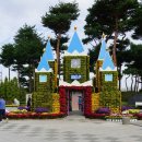 유림-18 | 대전 유성 국화축제 2025 유림공원 가을꽃 명소 후기
