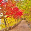 입곡군립공원 주차장 이미지