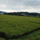 고동영공인중개사사무소 이미지