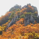 10월17일(토요일)밀양 백운산(892m)-가지산(1240m) 북릉 단풍산행 이미지