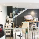 워킹펫살롱 이미지