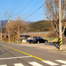 삼가면사무소 이미지