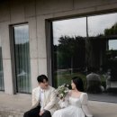 일일시호 이미지