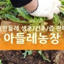 1001안경과학단지점 네이버블로그
