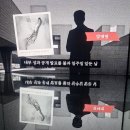 코스방화장품 | 해운대 여행 코스 아모레 부산 방탈출 꿀팁
