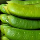 후숙된 해남 미니밤호박 5키로 14,500원~ 생 작두콩 이미지