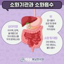 바른몸채담한의원 네이버블로그