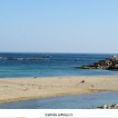 고성펜션 화포리 이미지