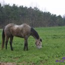 햇살목장 이미지