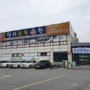 양지유황 티스토리