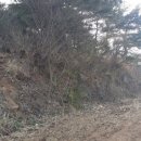 도천 보건진료소 네이버블로그