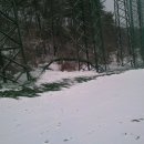 아성세차장 이미지