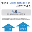 렌즈타운 신림점 이미지