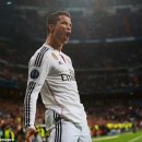 개구리네 이미지