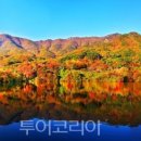 덕산자원(환경) 이미지