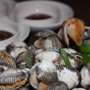 동국어패류 이미지