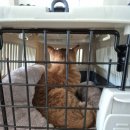 24시 해든동물의료센터 민락점 이미지