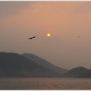 비진도·매물도