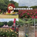 우리들공원정문점 | 울산 장미축제 장미공원 울산대공원 장미원 동물원 장미터널 후기