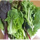 내동마을 영농조합법인 이미지