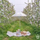 돌다리 농장 이미지