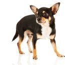 은계동물병원 이미지