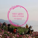 방축골농장 네이버블로그
