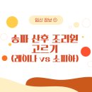 레이나 산후조리원 | 임신 정보 ① 송파 산후조리원 고르기 : 레이나/소피아 산후조리원 투어,비교 후 선택