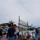 일과서림 이미지