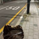 구일우성(아) 이미지