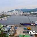 용호개발 뉴스1